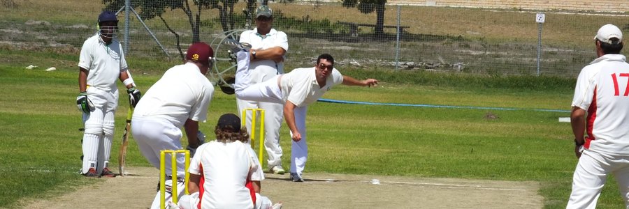 Gansbaai se beste bouler, Douw Lourens, in aksie teen Napier.